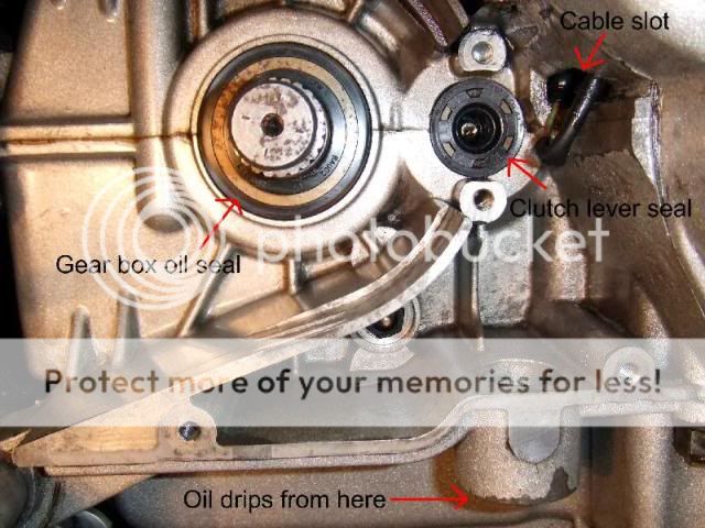 Left side motor sprocket oil seal