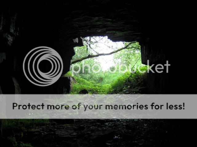 Posted Image
