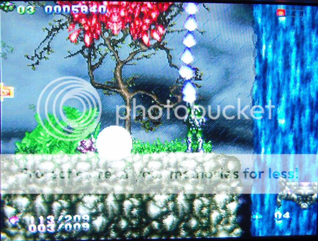 i468.photobucket.com/albums/rr45/RimShot69/SNV88366b.jpg