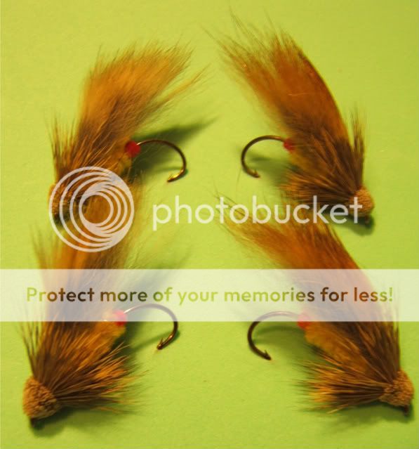 Posted Image
