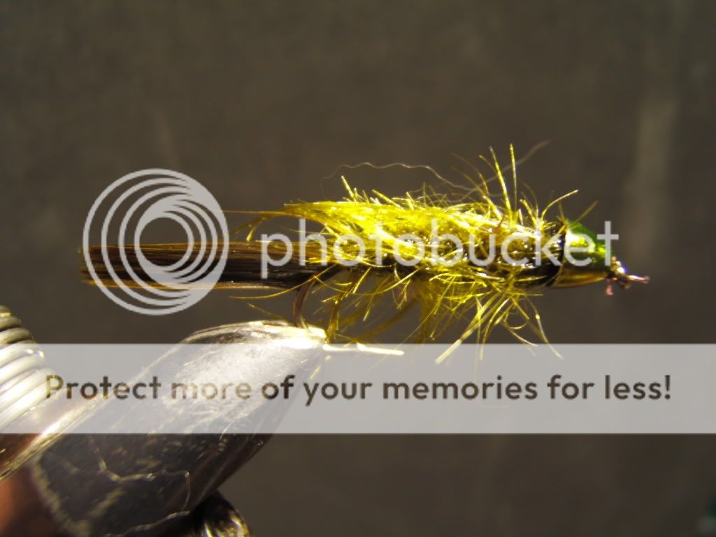 Posted Image