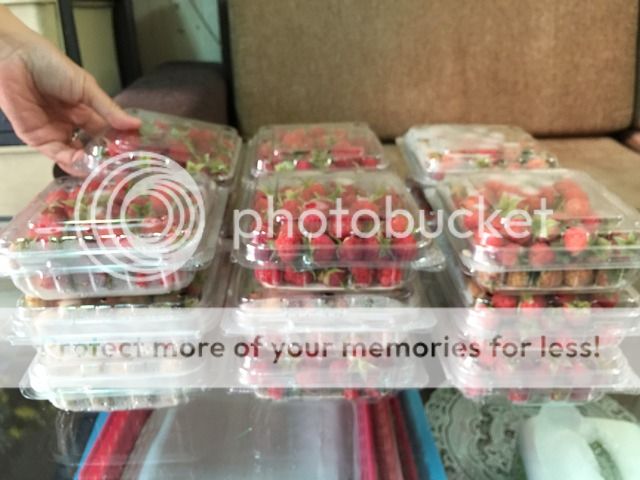 Raspbery nay còn gọi là phúc bồn tử tươi, trái cây giàu chất dinh dưỡng và chống lão hóa. - 4