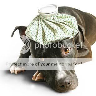 sickpuppy.jpg one sick puppy image by tattedbeaty20