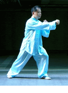 Yang24 gif