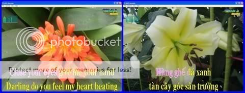 VietKaraOke: 3299 bài Midi Karaoke