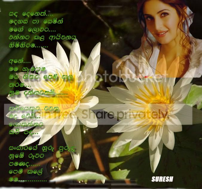 POEM1.jpg