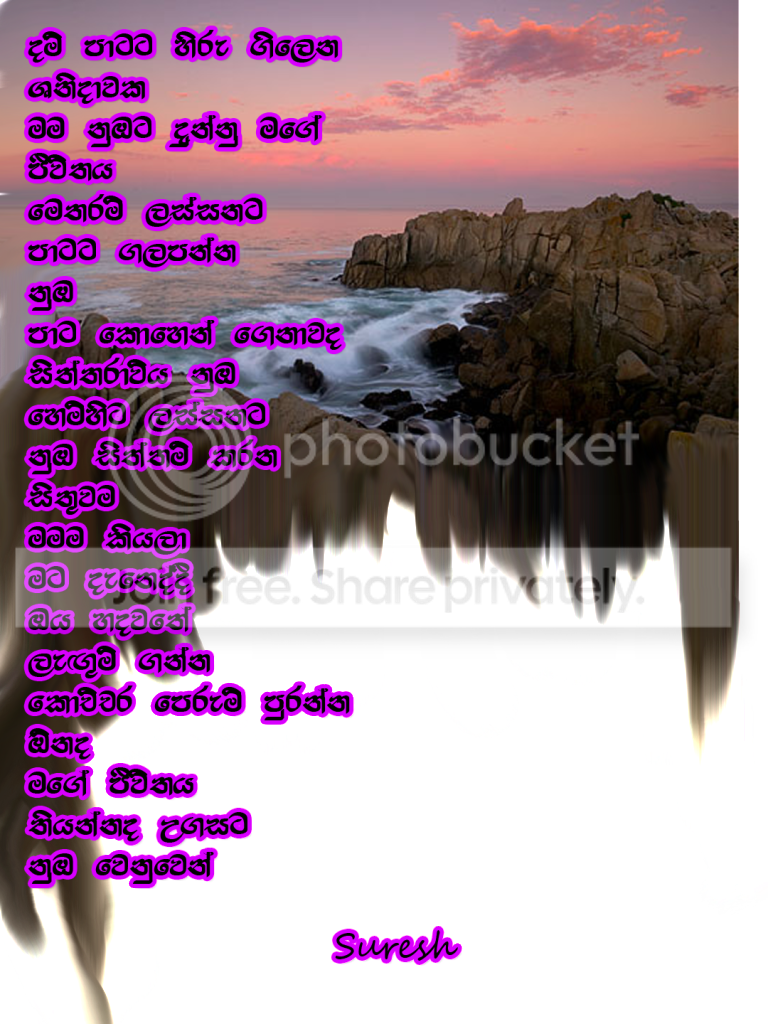 dampata.png